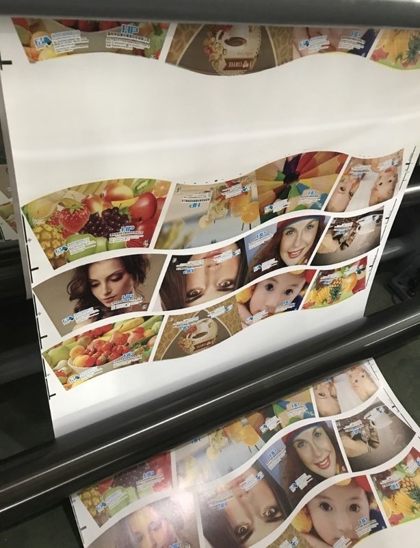 Multi-Color Auto Registration PE Cups Mesin Pencetakan Flexo dengan Permintaan Khusus