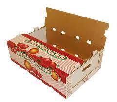 Roll to Roll Flexographic Printing Machine dengan Web Roller Diameter 100mm dan 4 Warna