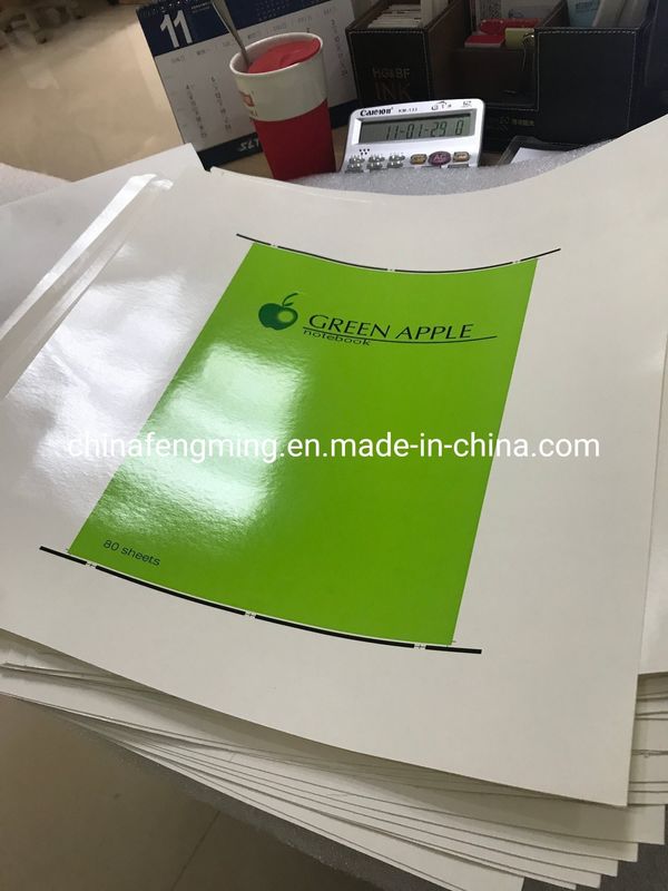 Pengalaman Versatilitas Multi-Color Flexo Press untuk Bisnis Anda