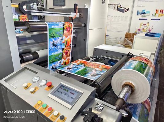 Otomatis Wide Web 4 6 Jenis satuan warna Plastik Pe Film Roll Flexo Mesin Pencetakan Harga