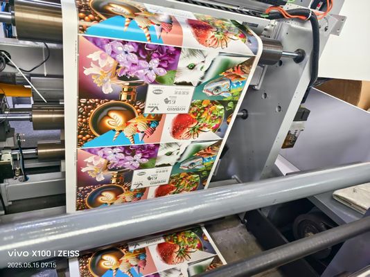 Mesin Cetak Flexografis 8 Warna Kecepatan Tinggi Mesin Cetak Grafis Flexo Harga 8 Warna